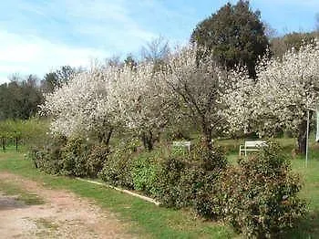 Borgognano