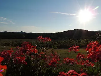 Borgognano 3* Valpiana (Grosseto)
